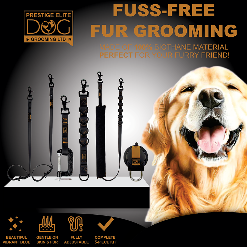 Black & Gold Grooming Loops Set